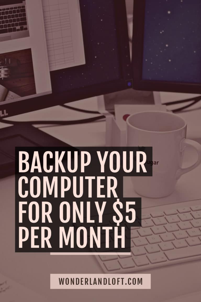 Backup your computer cheap